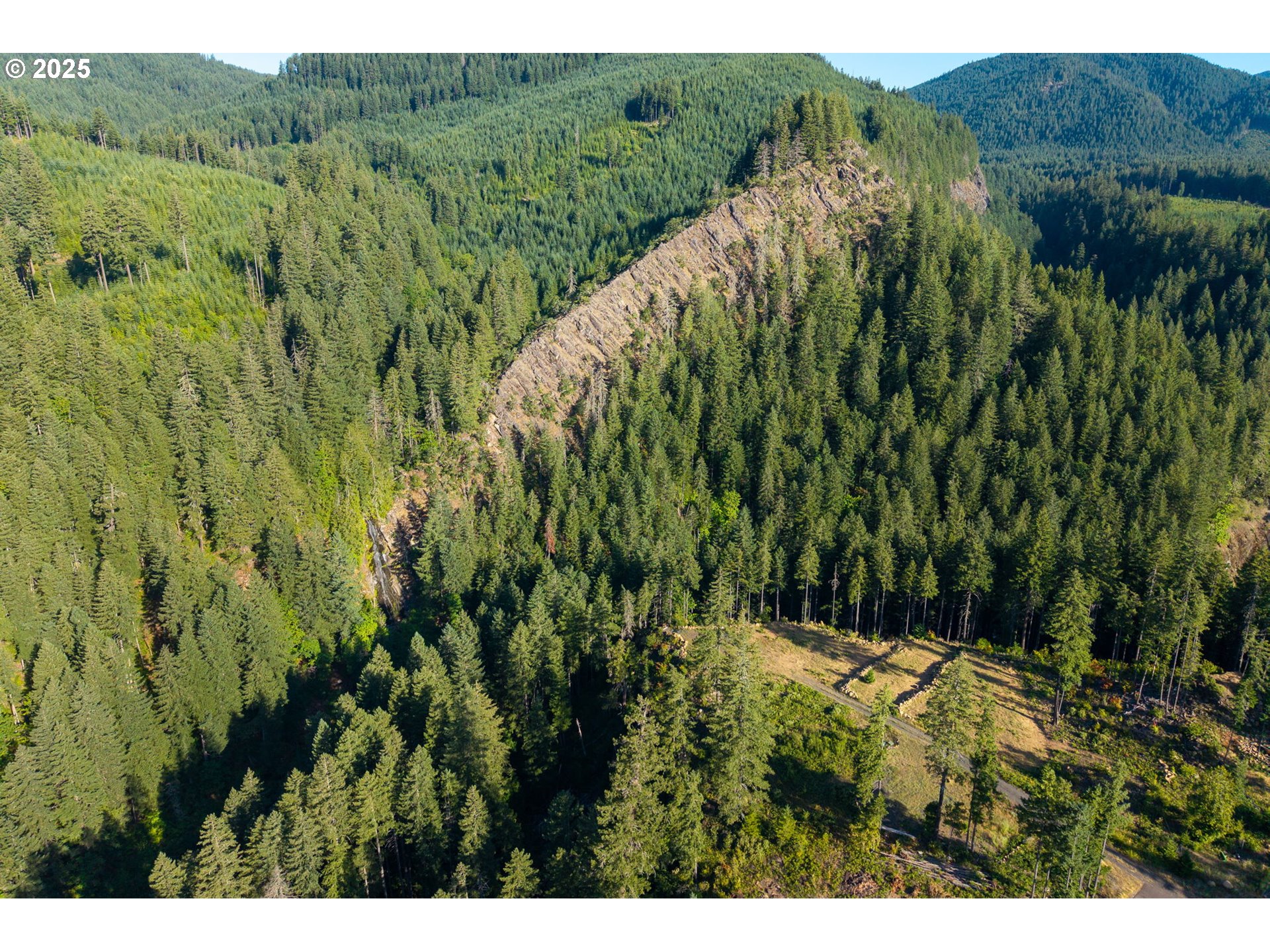 Boulder Ridge Carson, WA 98610 - Photo 12 of 26 a view of a lush green forest with a lush green forest