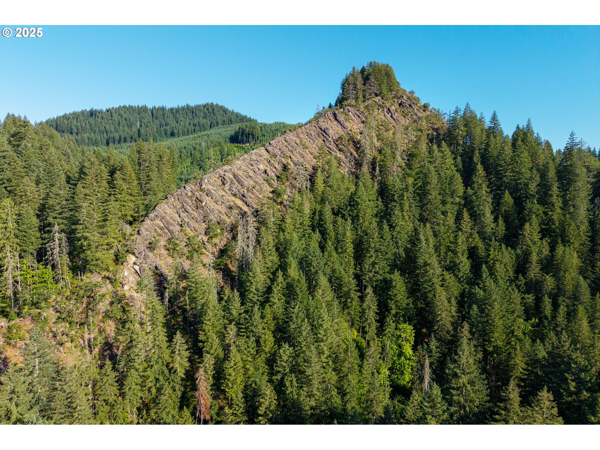 Boulder Ridge Carson, WA 98610 - Photo 13 of 26