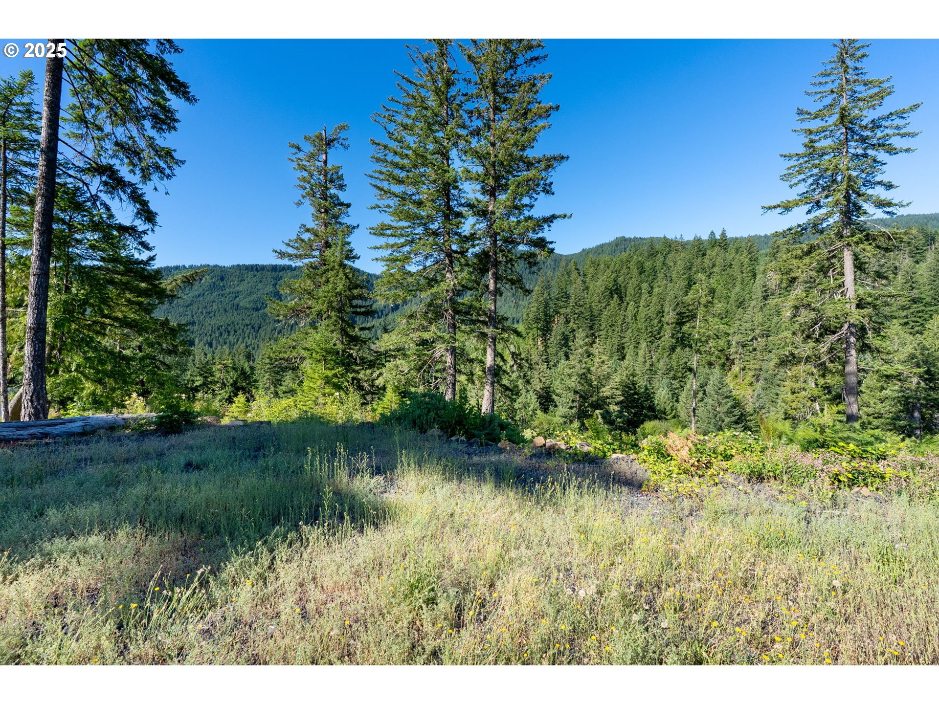 Boulder Ridge Carson, WA 98610 - Photo 15 of 26 a view of a garden with a lake