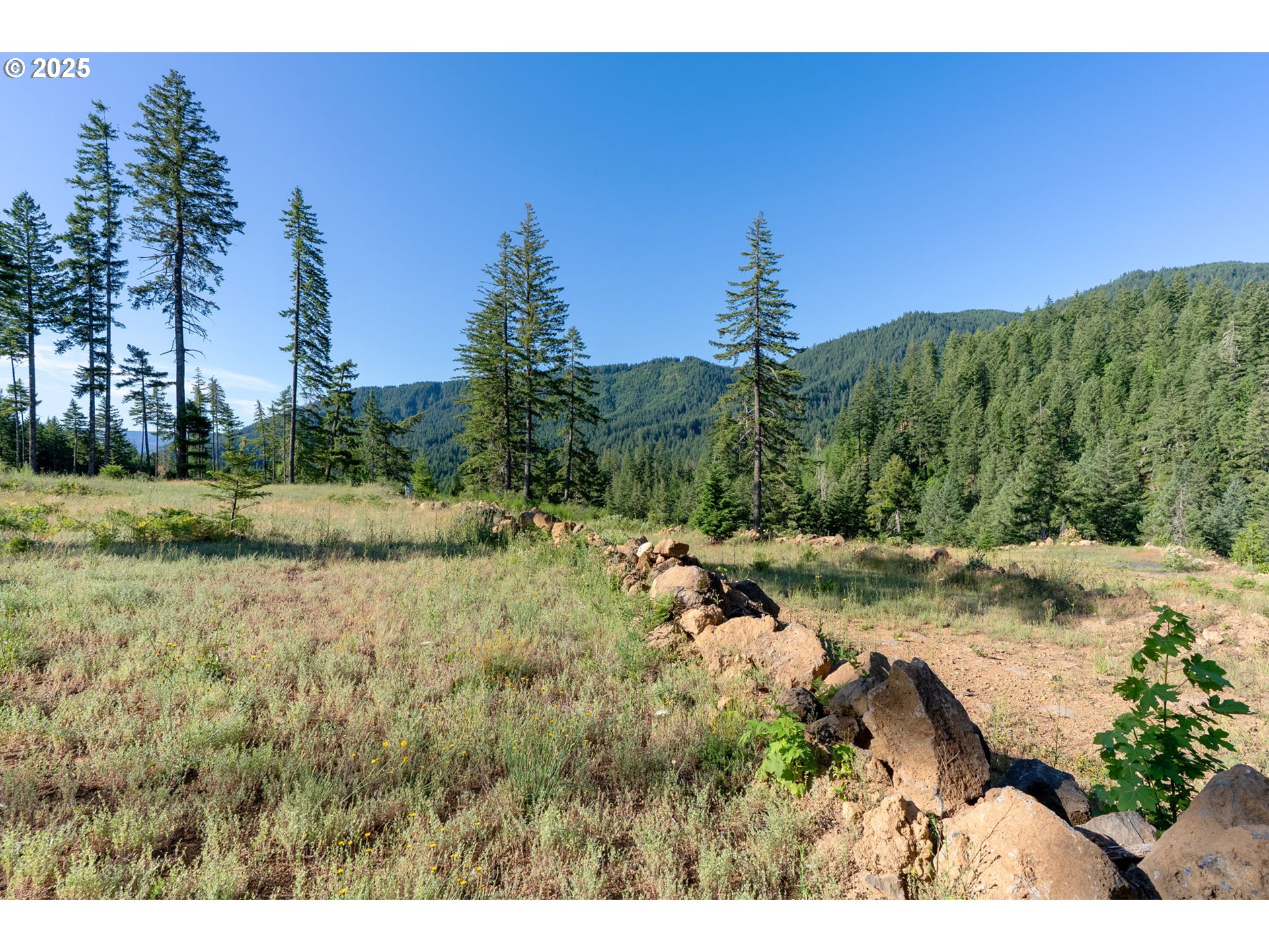 Boulder Ridge Carson, WA 98610 - Photo 16 of 26 a view of a yard with a tree