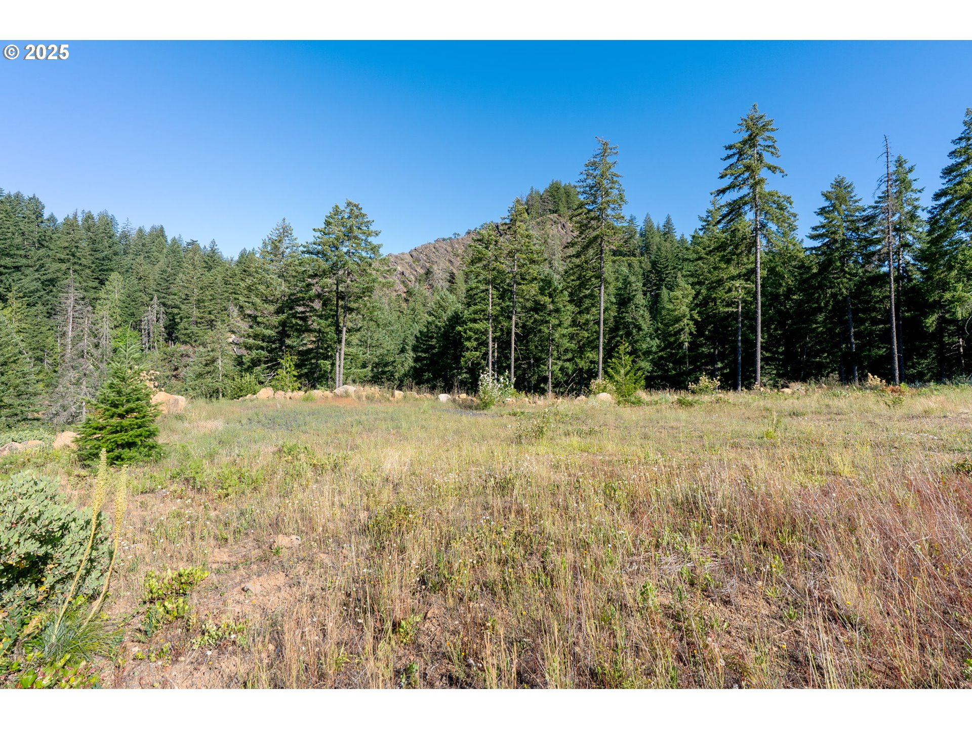 Boulder Ridge Carson, WA 98610 - Photo 17 of 26 a view of outdoor space with mountain view