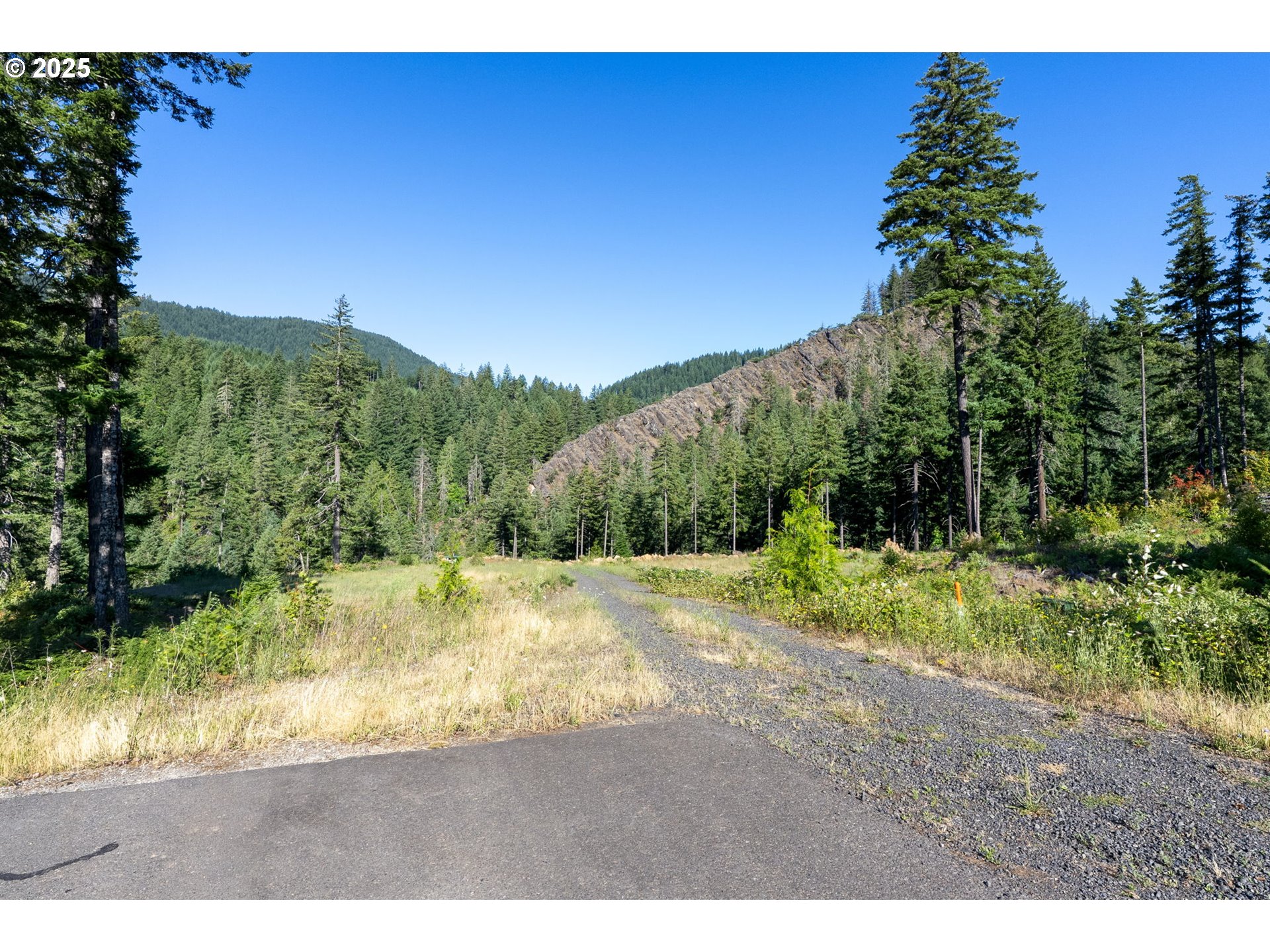 Boulder Ridge Carson, WA 98610 - Photo 18 of 26 a view of a yard with a tree