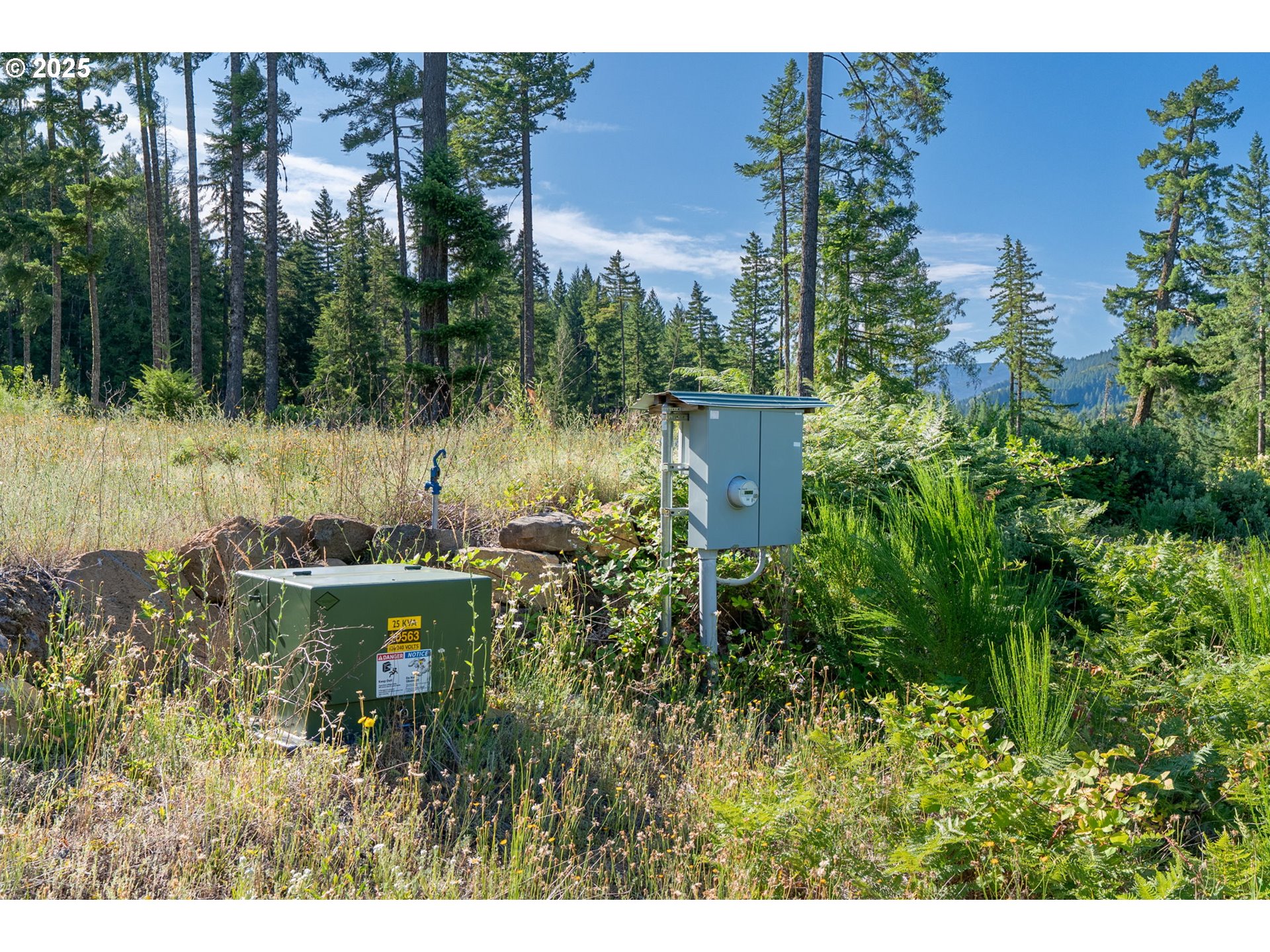 Boulder Ridge Carson, WA 98610 - Photo 19 of 26 a view of a garden with a fountain