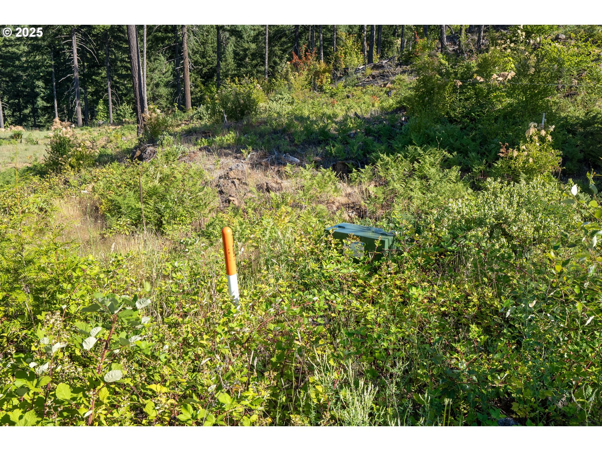 Boulder Ridge Carson, WA 98610 - Photo 20 of 26 a view of outdoor space and garden