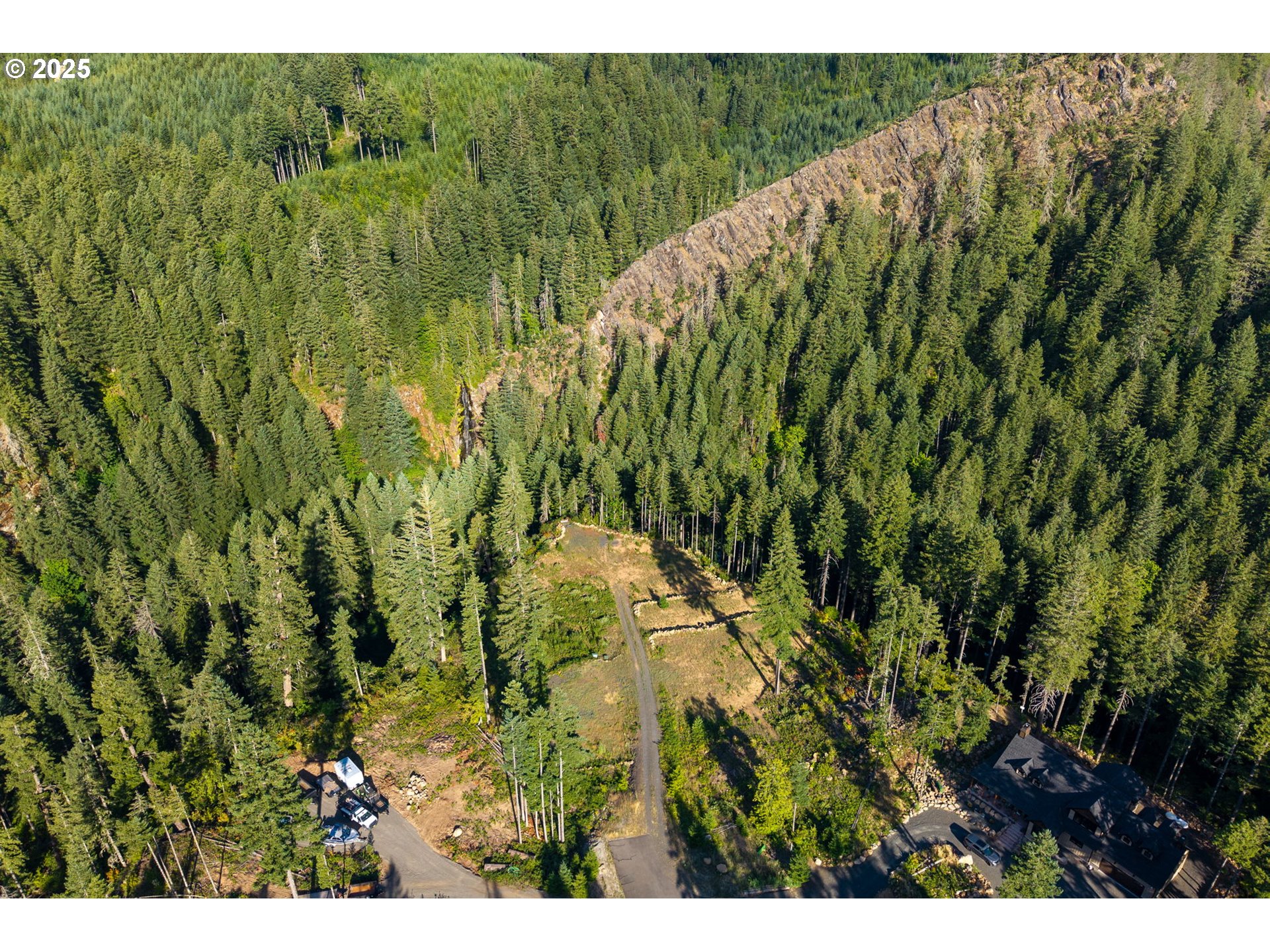 Boulder Ridge Carson, WA 98610 - Photo 22 of 26 a view of a lush green forest with lots of trees
