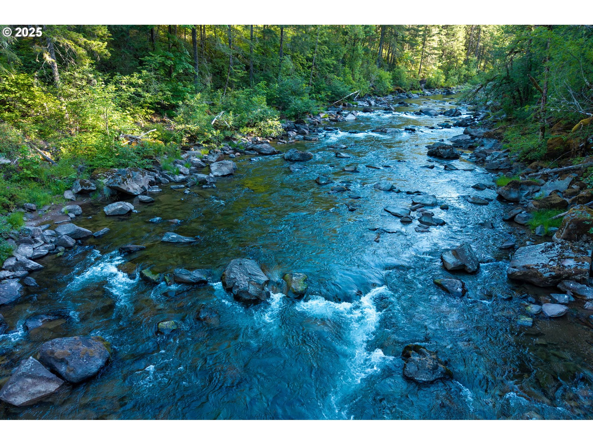 Boulder Ridge Carson, WA 98610 - Photo 23 of 26 a view of a bunch of trees and bushes
