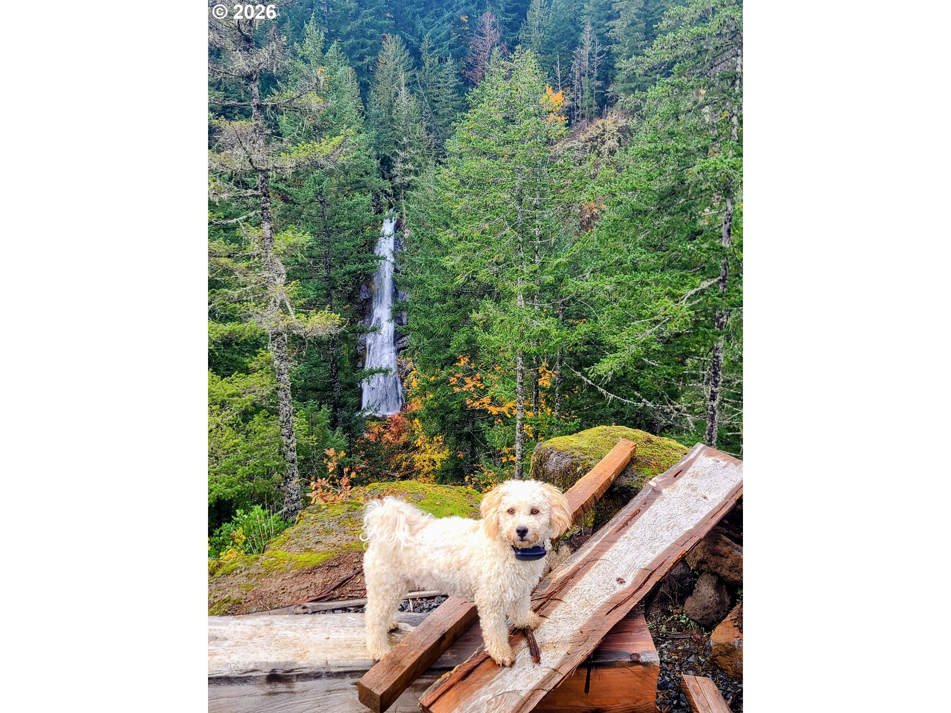 Boulder Ridge Carson, WA 98610 - Photo 25 of 26 a view of a balcony with two chairs