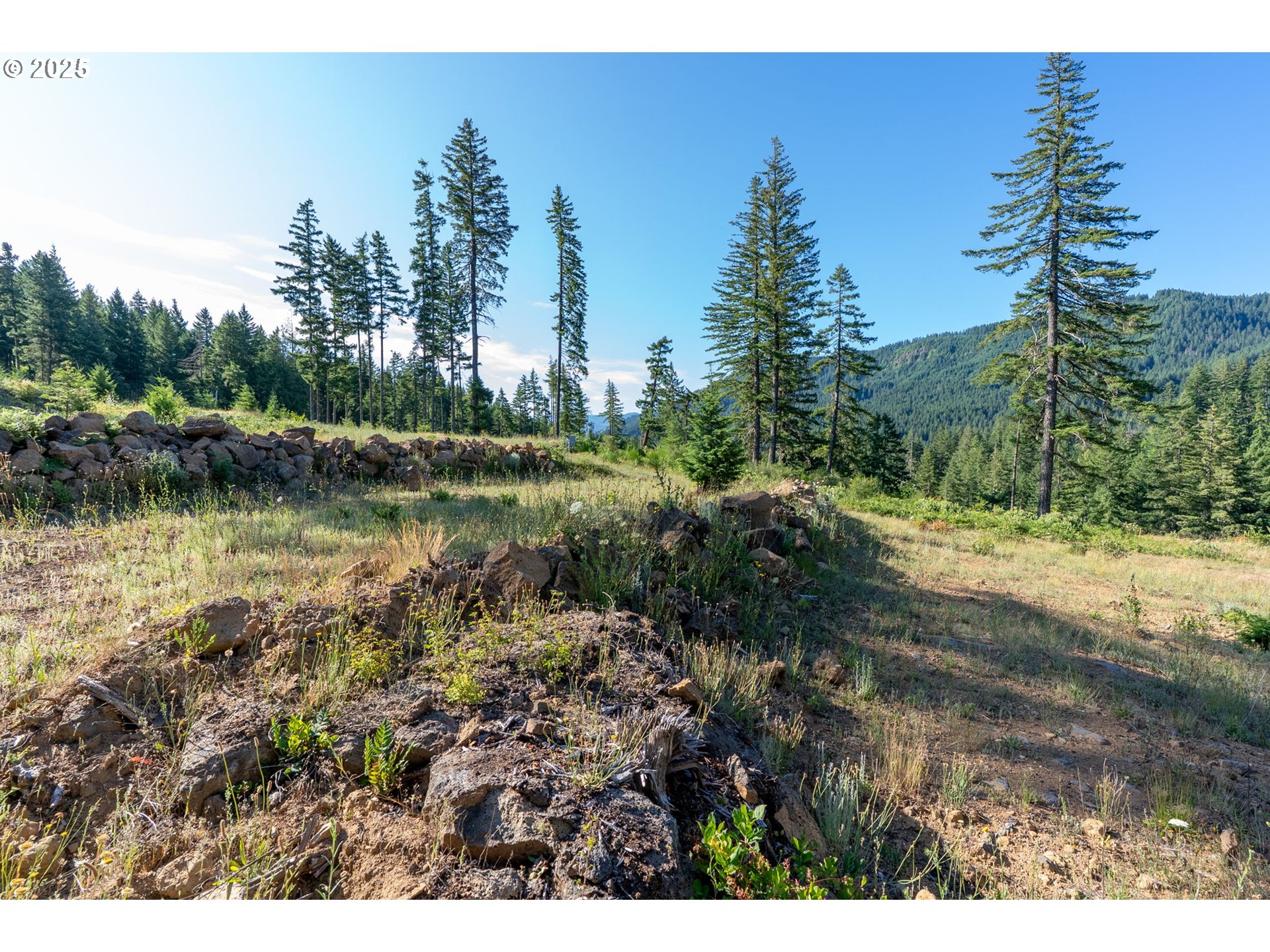 Boulder Ridge Carson, WA 98610 - Photo 6 of 26 a view of a large body of water with a tree in the background