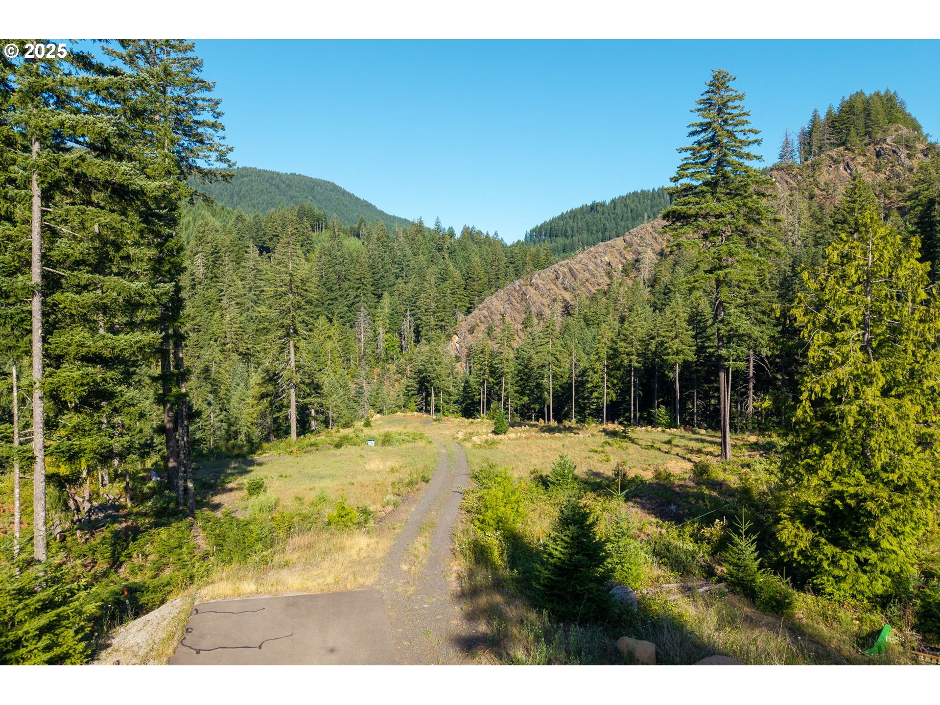 Boulder Ridge Carson, WA 98610 - Photo 7 of 26 a view of a yard with a tree