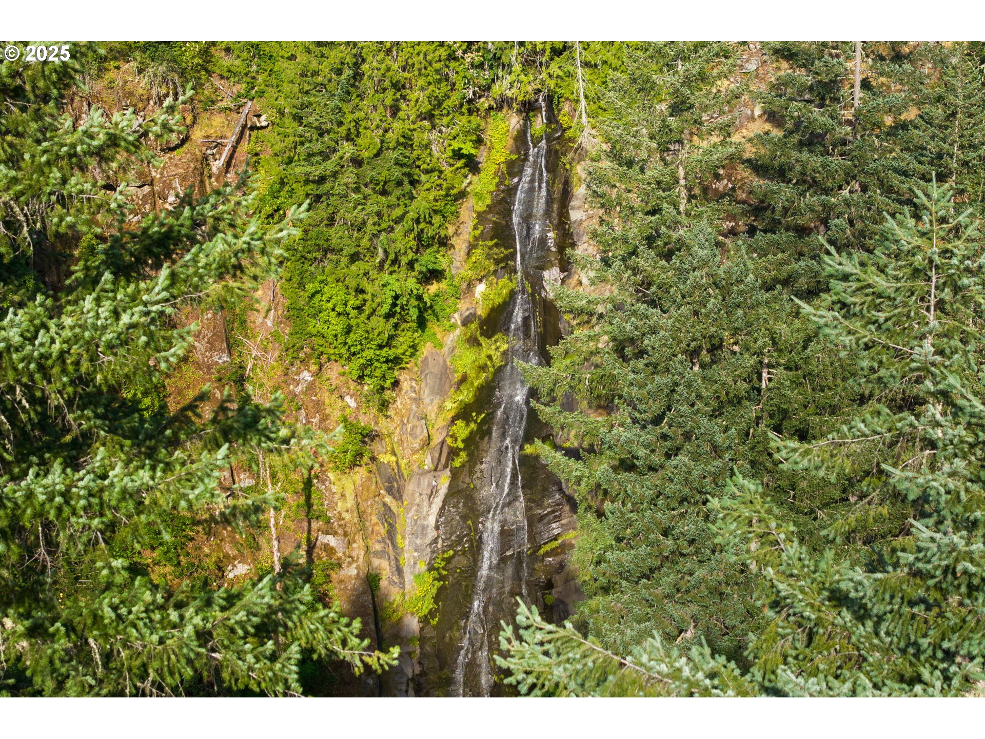 Boulder Ridge Carson, WA 98610 - Photo 8 of 26 a view of a big yard with lots of bushes