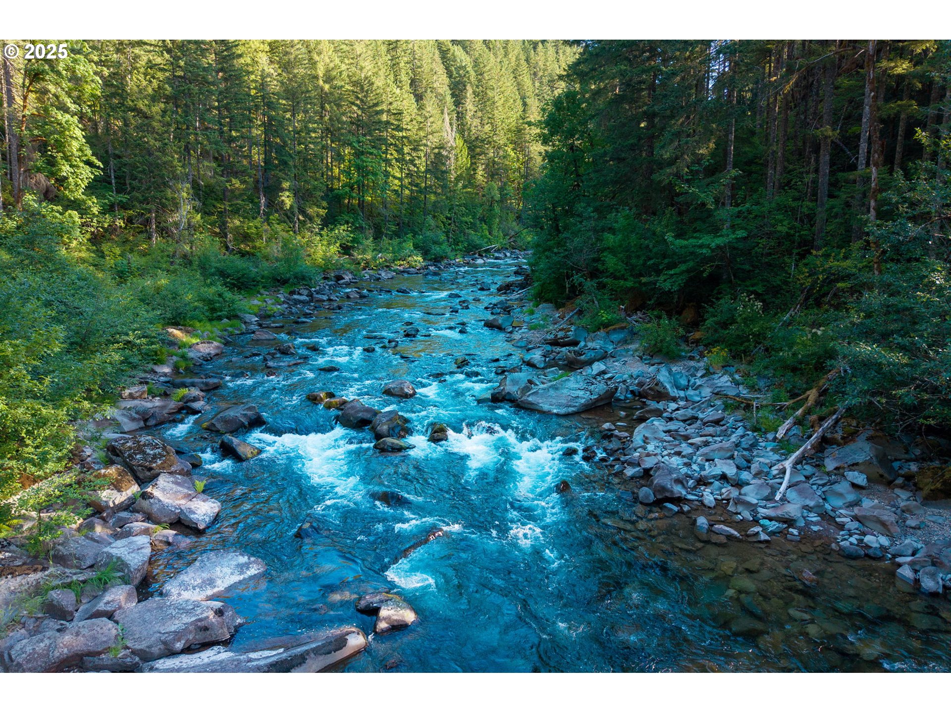 Boulder Ridge Carson, WA 98610 - Photo 9 of 26 a view of a yard