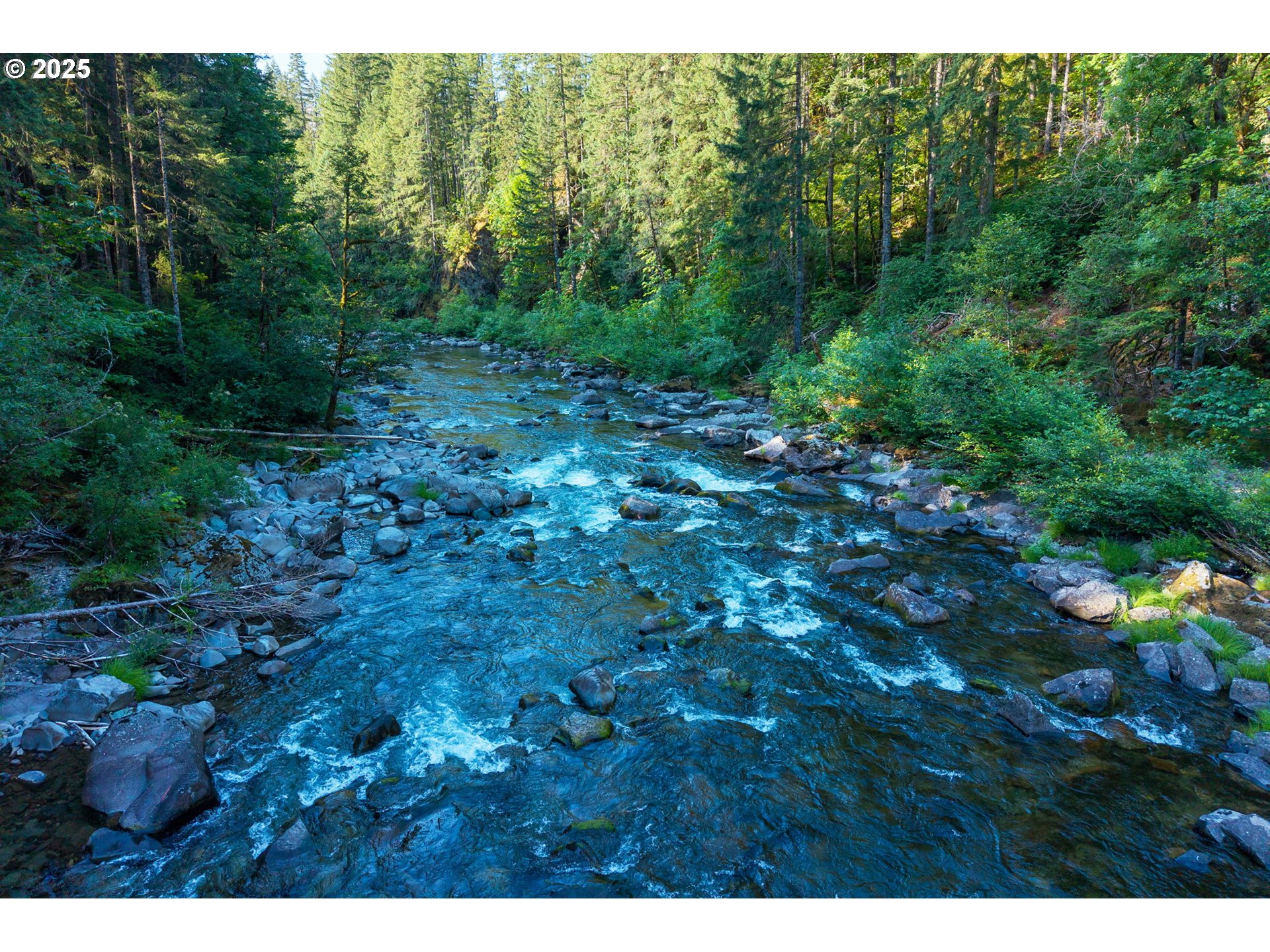 Boulder Ridge Carson, WA 98610 - Photo 10 of 26 a view of a forest with trees in the background