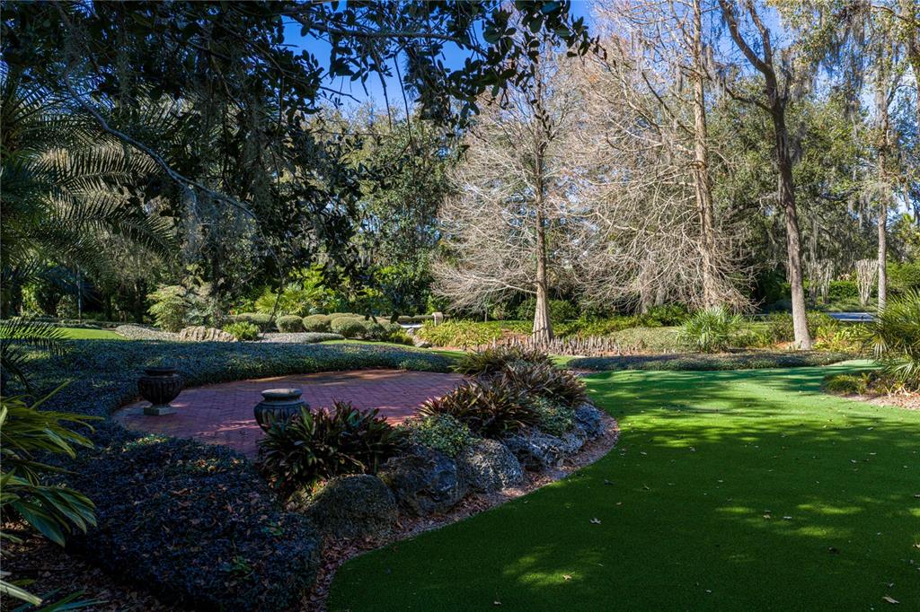 3505 Gallagher Road Dover, FL 33527 - Photo 7 of 100 a view of a garden with plants and large trees