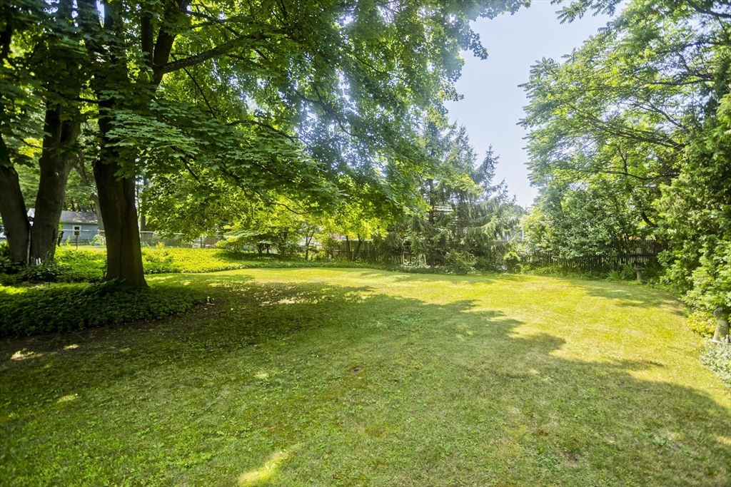 56 Santa Maria Street Springfield, MA 01104 - Photo 18 of 19