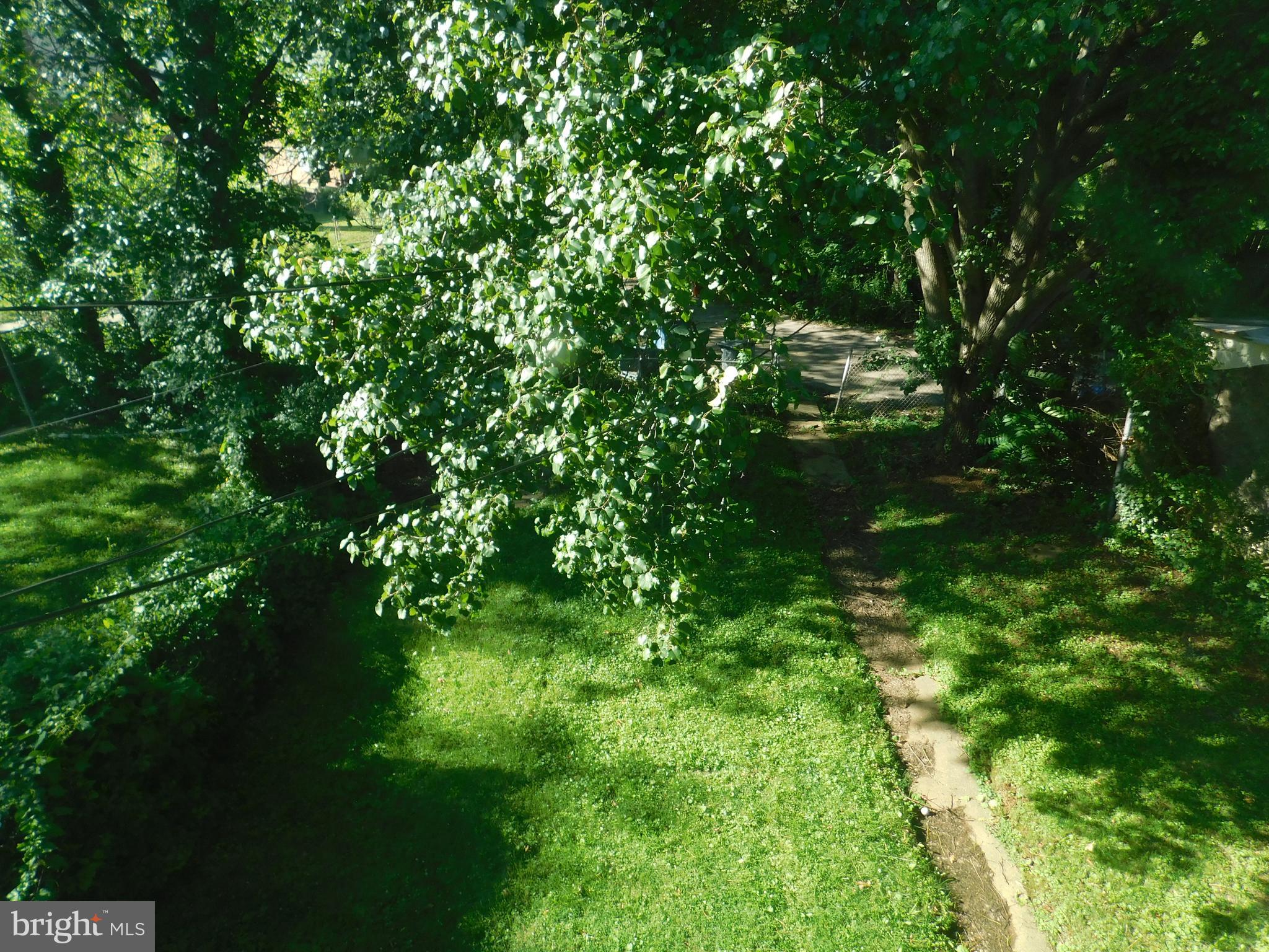 7009 Fieldcrest Road Baltimore, MD 21215 - Photo 35 of 46 a view of a tree in a garden