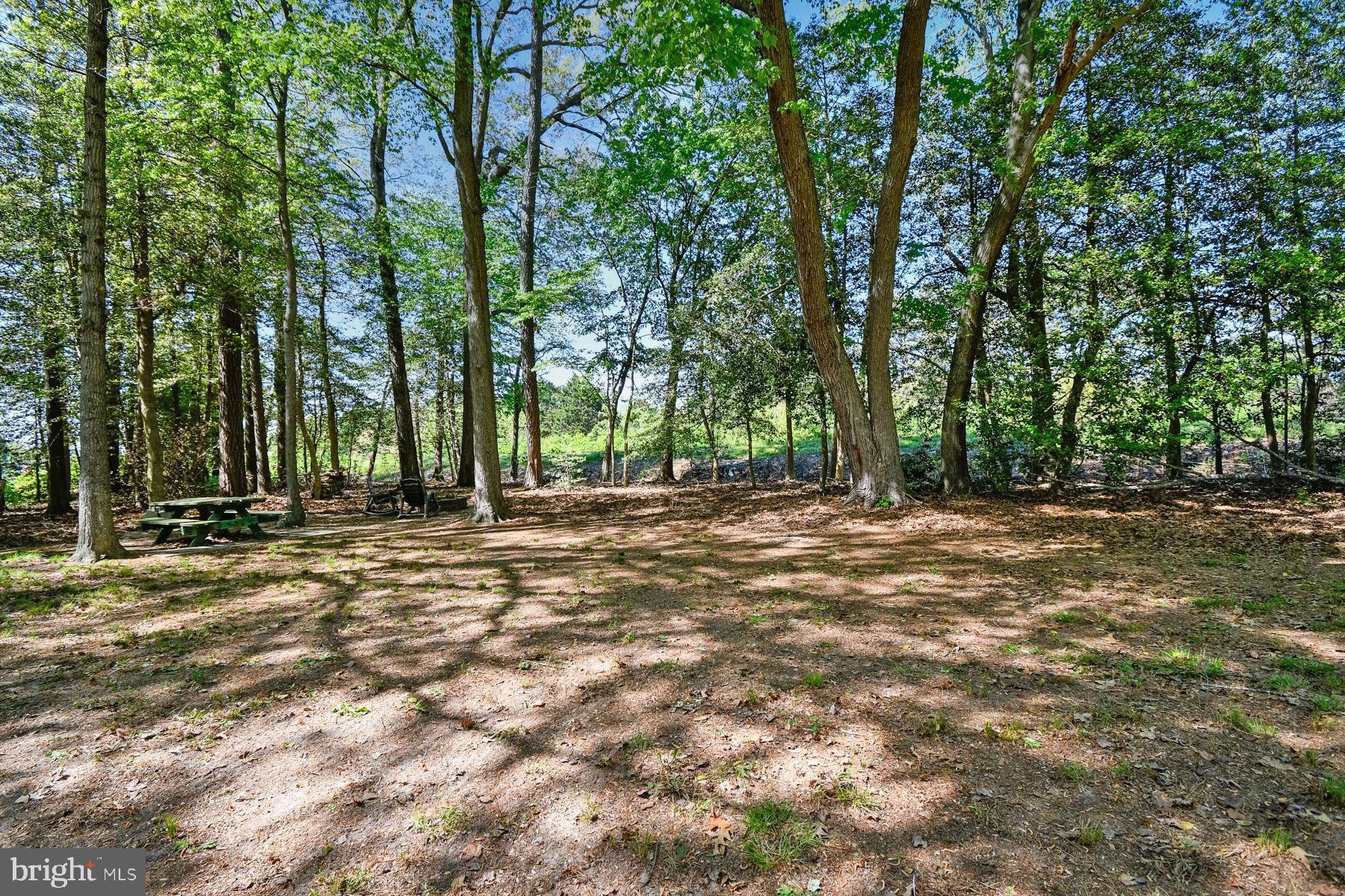 801 Outten Road Salisbury, MD 21804 - Photo 29 of 39