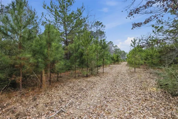 $335,000 | 1365 Mouth Of The Crk Road, Merryville, LA 70653