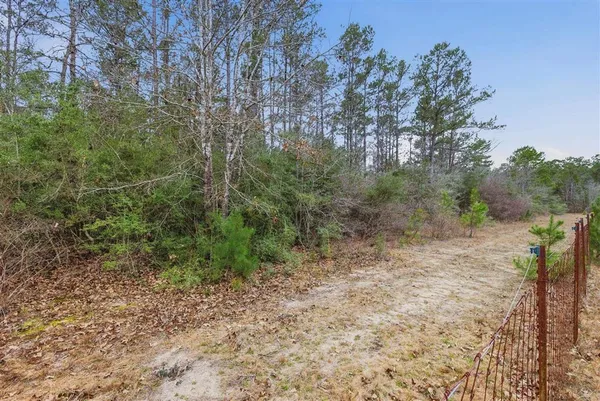 $335,000 | 1365 Mouth Of The Crk Road, Merryville, LA 70653