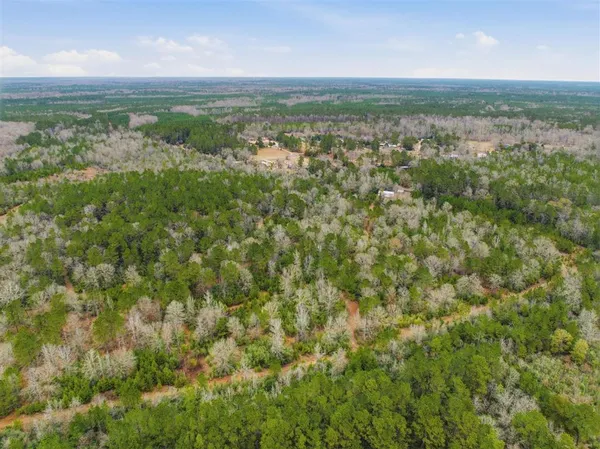 $335,000 | 1365 Mouth Of The Crk Road, Merryville, LA 70653