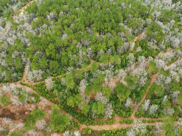 $335,000 | 1365 Mouth Of The Crk Road, Merryville, LA 70653