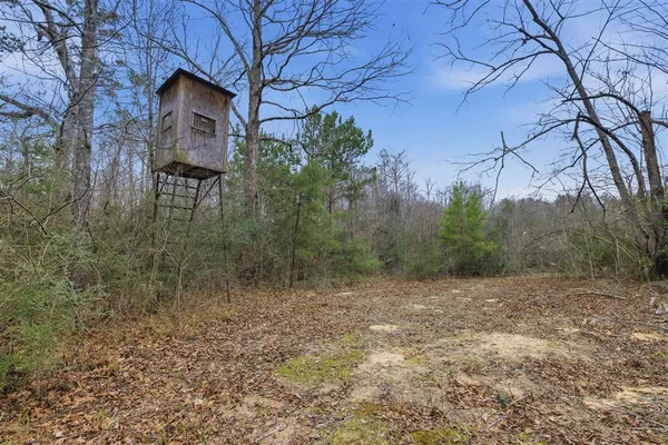 $335,000 | 1365 Mouth Of The Crk Road, Merryville, LA 70653