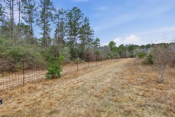 $335,000 | 1365 Mouth Of The Crk Road, Merryville, LA 70653