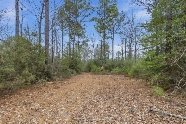 $335,000 | 1365 Mouth Of The Crk Road, Merryville, LA 70653