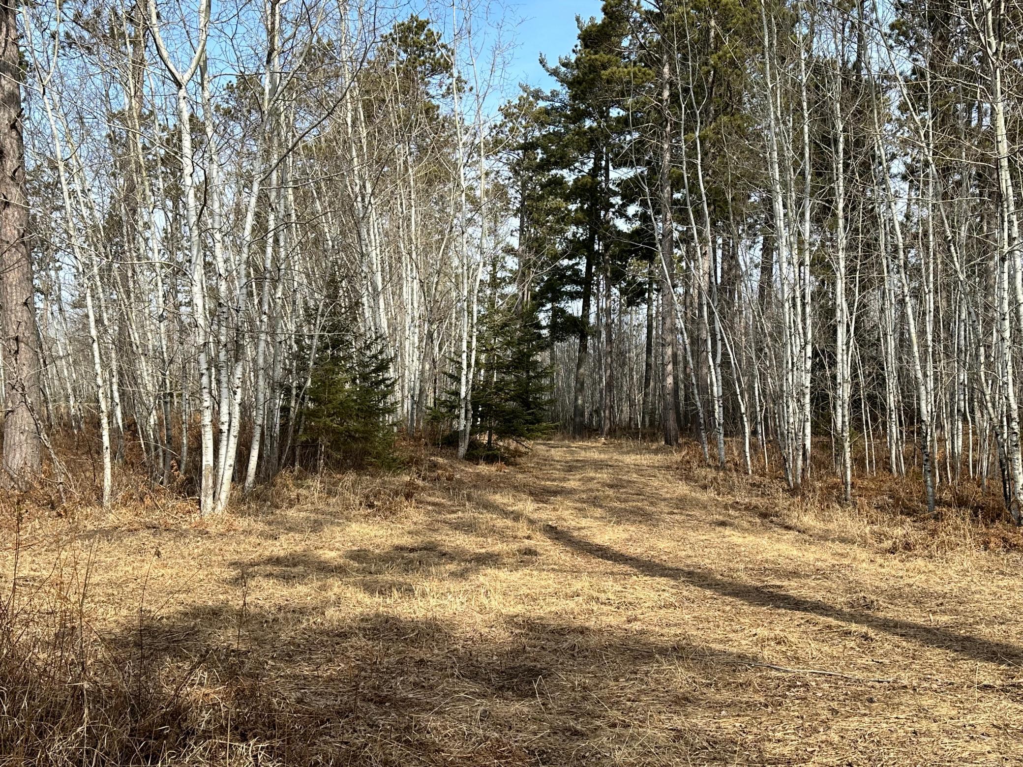 Tbd Nebish Road Northeast Tenstrike, MN 56683 - Photo 1 of 1 Gallery Image 1
