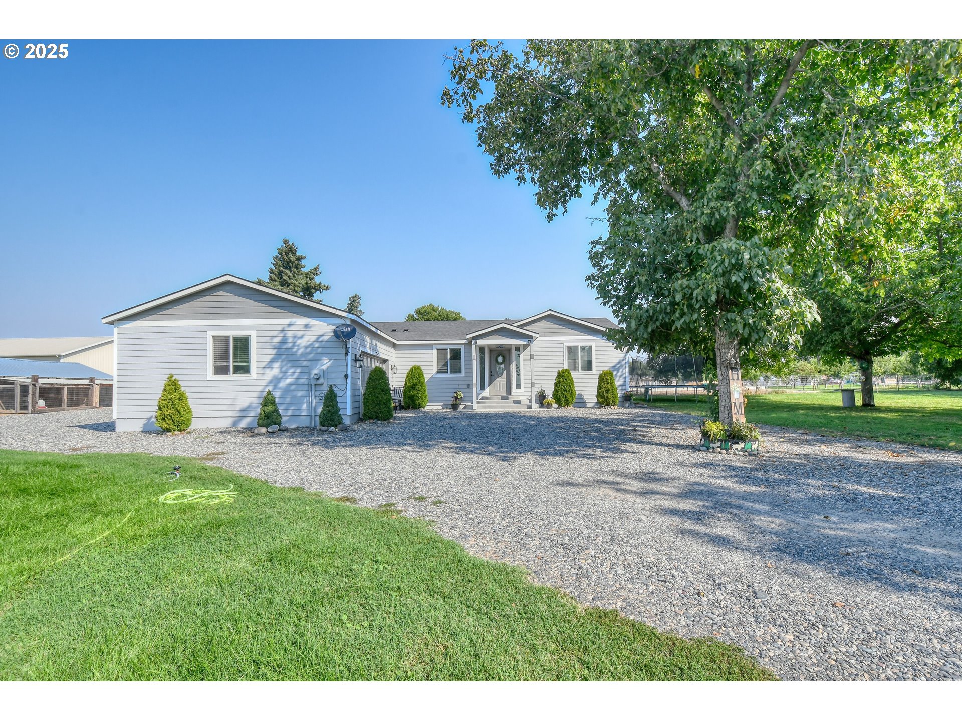 256 Northwest Jewell Court Irrigon, OR 97844 - Photo 1 of 47 a front view of a house with a yard and trees