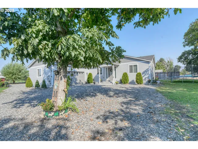a view of a yard with plants and a large tree