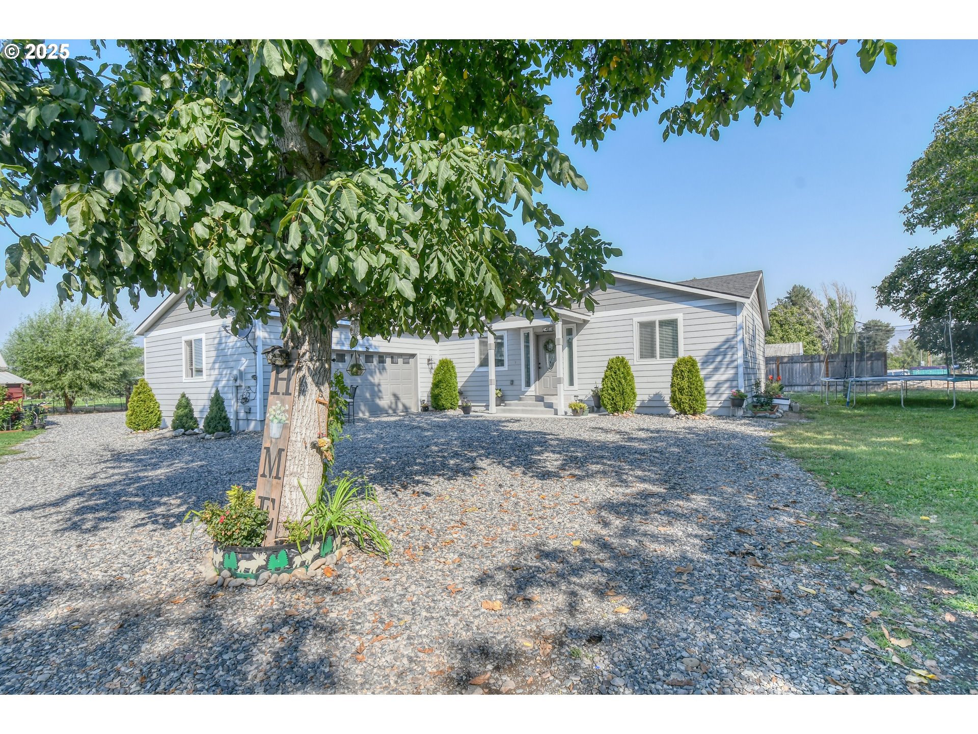 256 Northwest Jewell Court Irrigon, OR 97844 - Photo 27 of 47 a view of a yard with plants and a large tree
