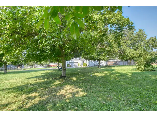 a view of yard with green space