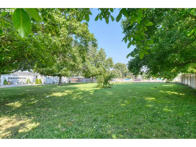 a view of green field