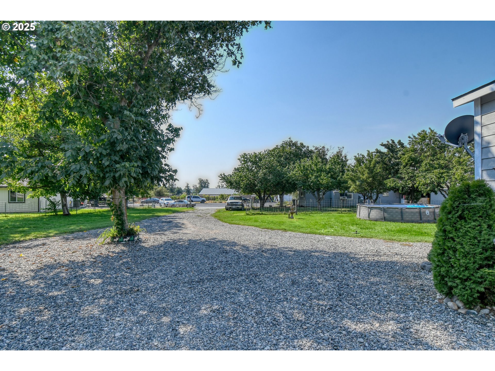 256 Northwest Jewell Court Irrigon, OR 97844 - Photo 45 of 47 a view of a park with large trees