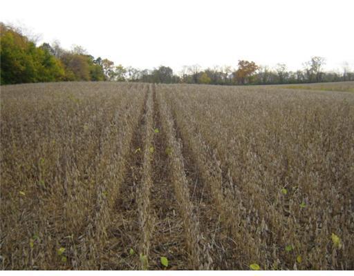 70 Acres On Limrick Road Springfield, OH 45502 - Photo 2 of 7