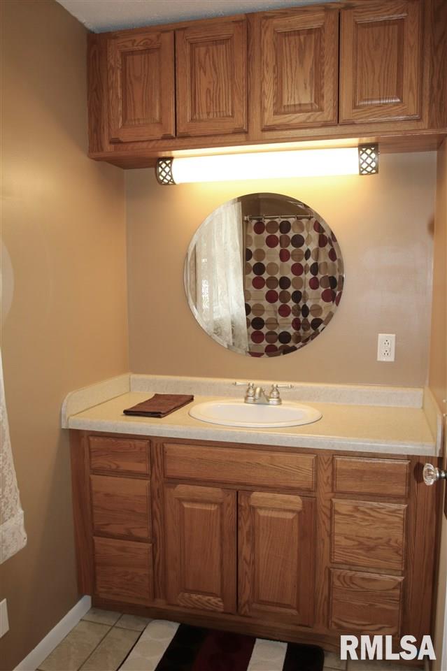 509 South Spring Street Geneseo, IL 61254 - Photo 13 of 16 Gallery Image 13