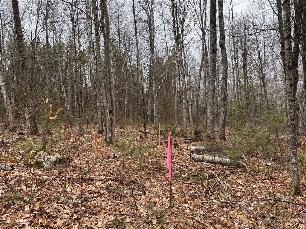 Lot 3 North Scheers Road Hayward, WI 54843 - Photo 3 of 17