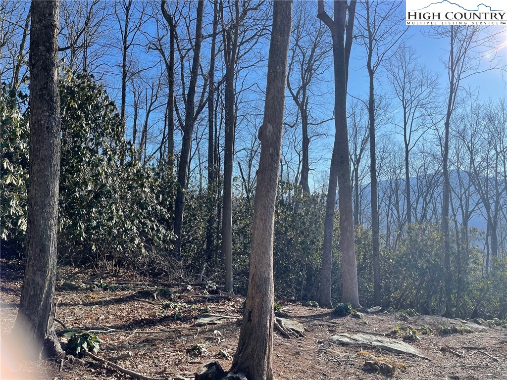 17 Jackson Ridge Road Boone, NC 28607 - Photo 13 of 13 Gallery Image 13