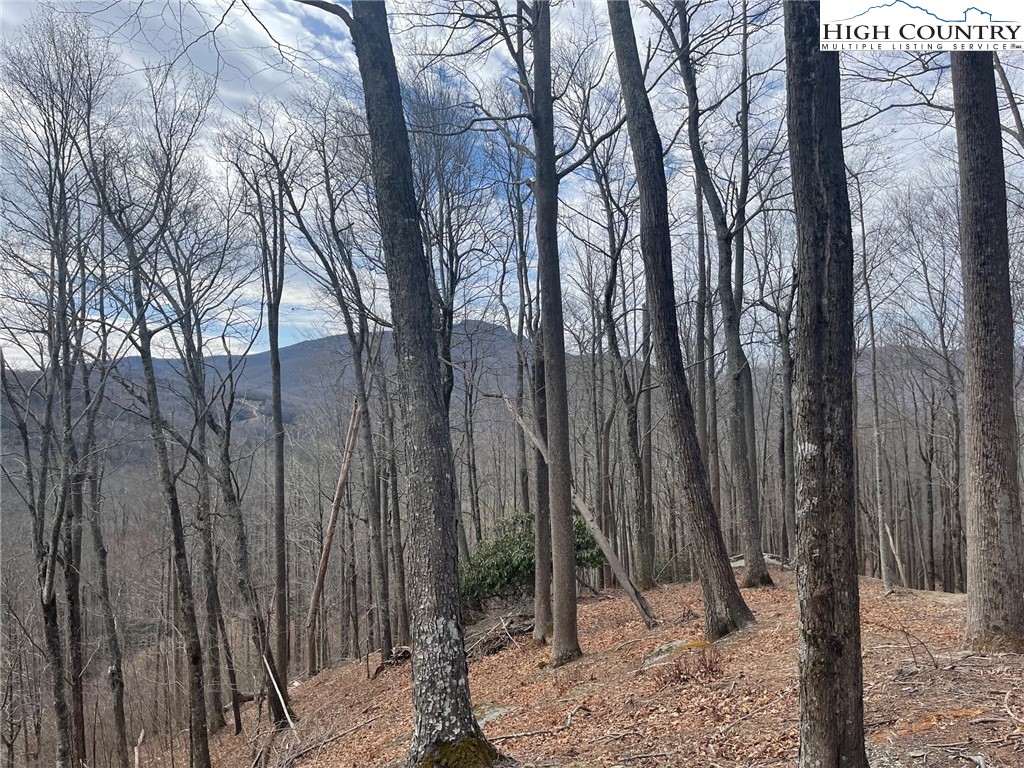 17 Jackson Ridge Road Boone, NC 28607 - Photo 7 of 13 Gallery Image 7