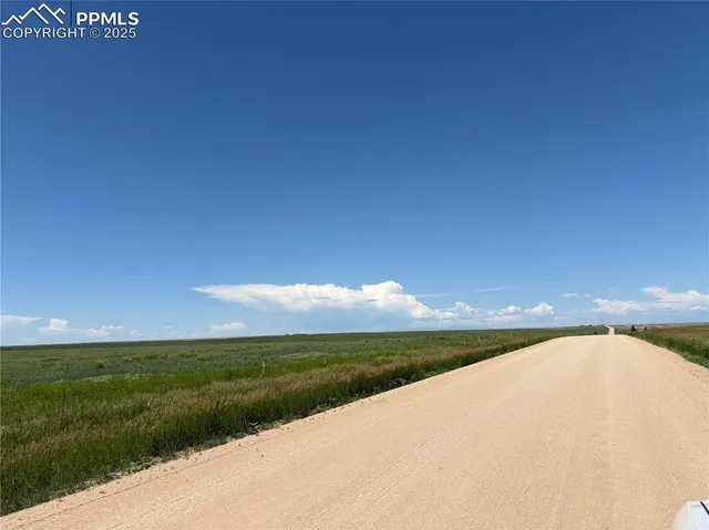 a view of yard with ocean view