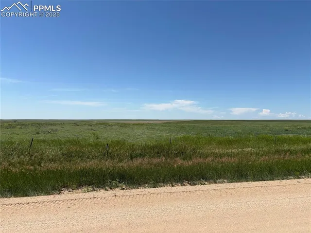 a view of beach and ocean