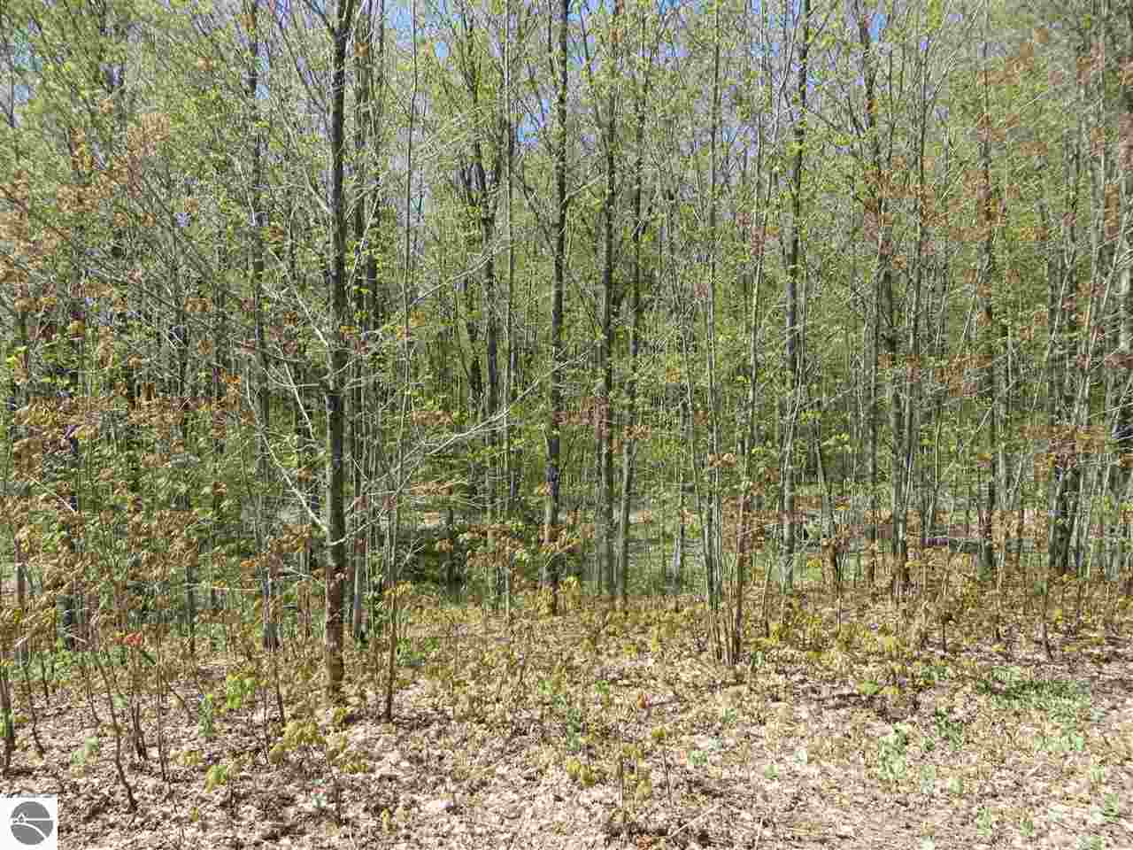 . Overhill Road Northwest Rapid City, MI 49676 - Photo 3 of 14 1795361-2.JPG