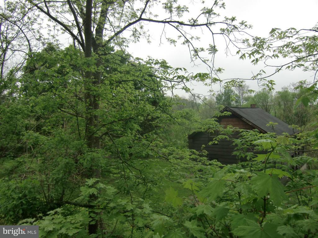 3334 Back Run Road Manheim, PA 17545 - Photo 5 of 15