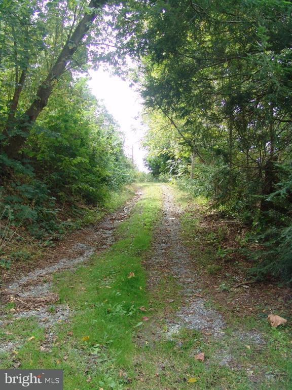 3334 Back Run Road Manheim, PA 17545 - Photo 9 of 15