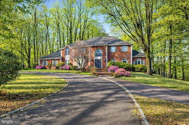 a view of a park with large trees and a table and chairs under an umbrella