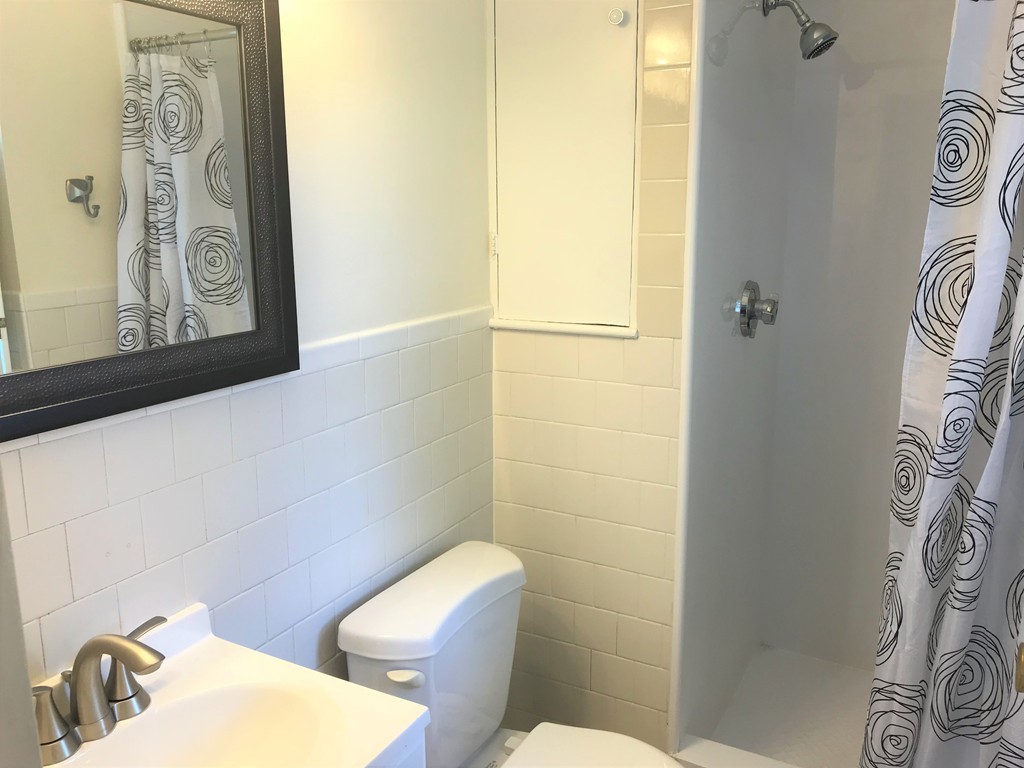 157 Lake Shore Road, Unit 4 Boston, MA 02135 - Photo 9 of 11 a white toilet sitting next to a bathroom sink