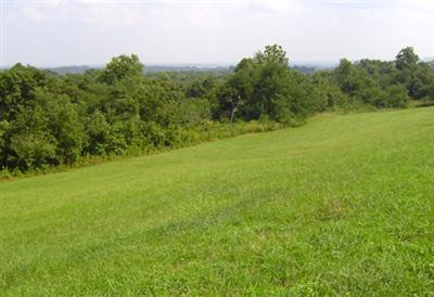 3926 Stepstone Road Owingsville, KY 40360 - Photo 5 of 5 Photo 5