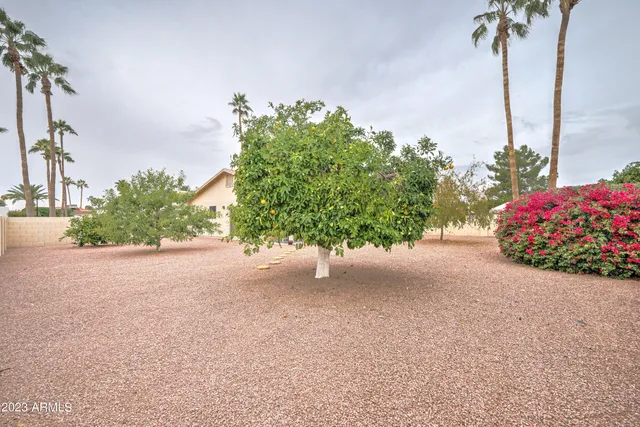 a street view with potted plants and palm trees