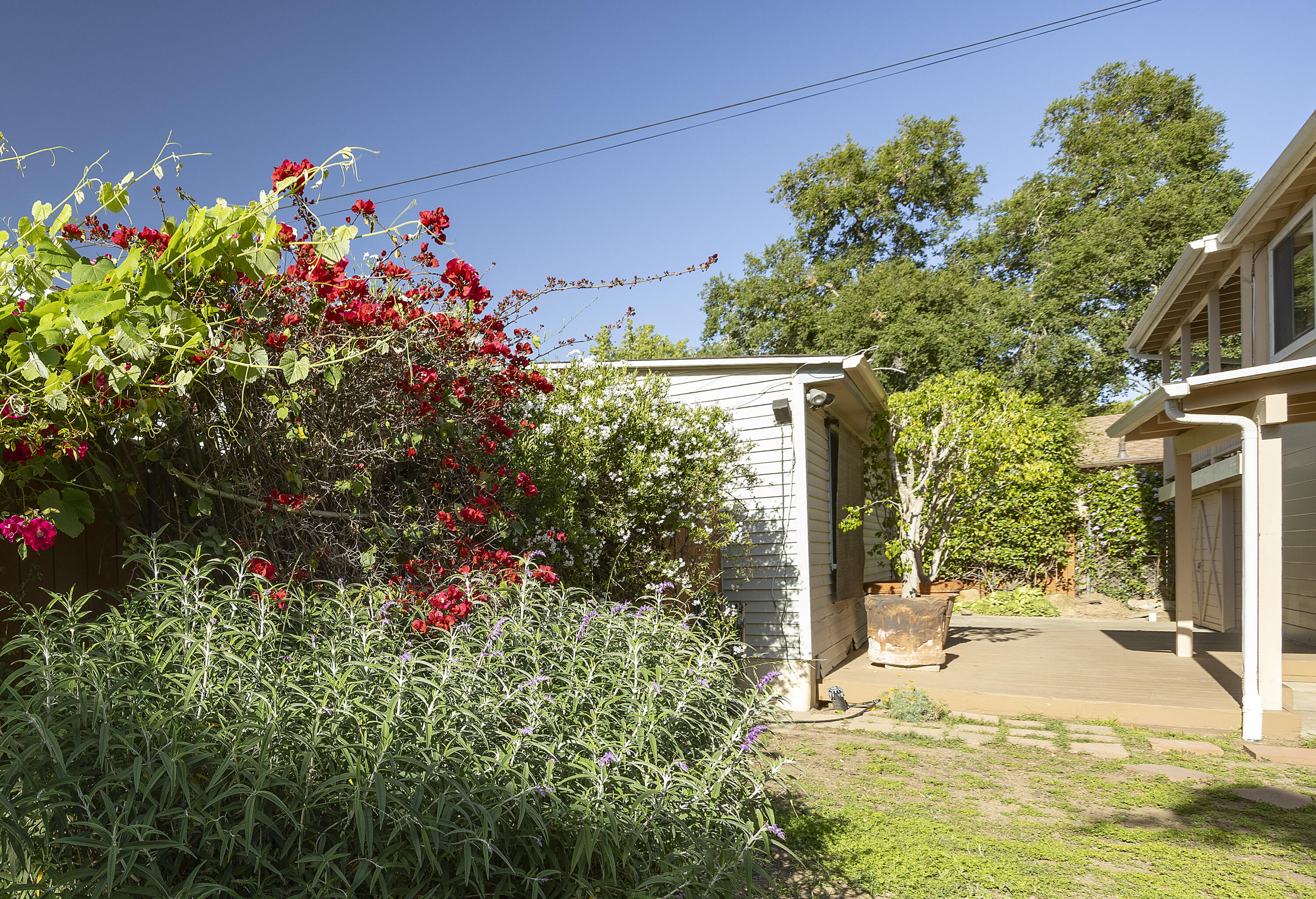 3891 Sunset Road Santa Barbara, CA 93110 - Photo 17 of 29 3891SunsetRd_19