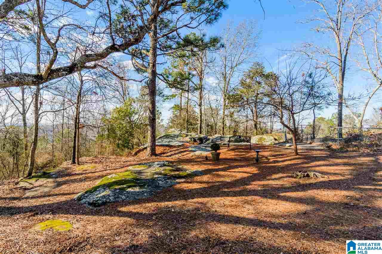 280 Shades Crest Road Birmingham, AL 35226 - Photo 39 of 41